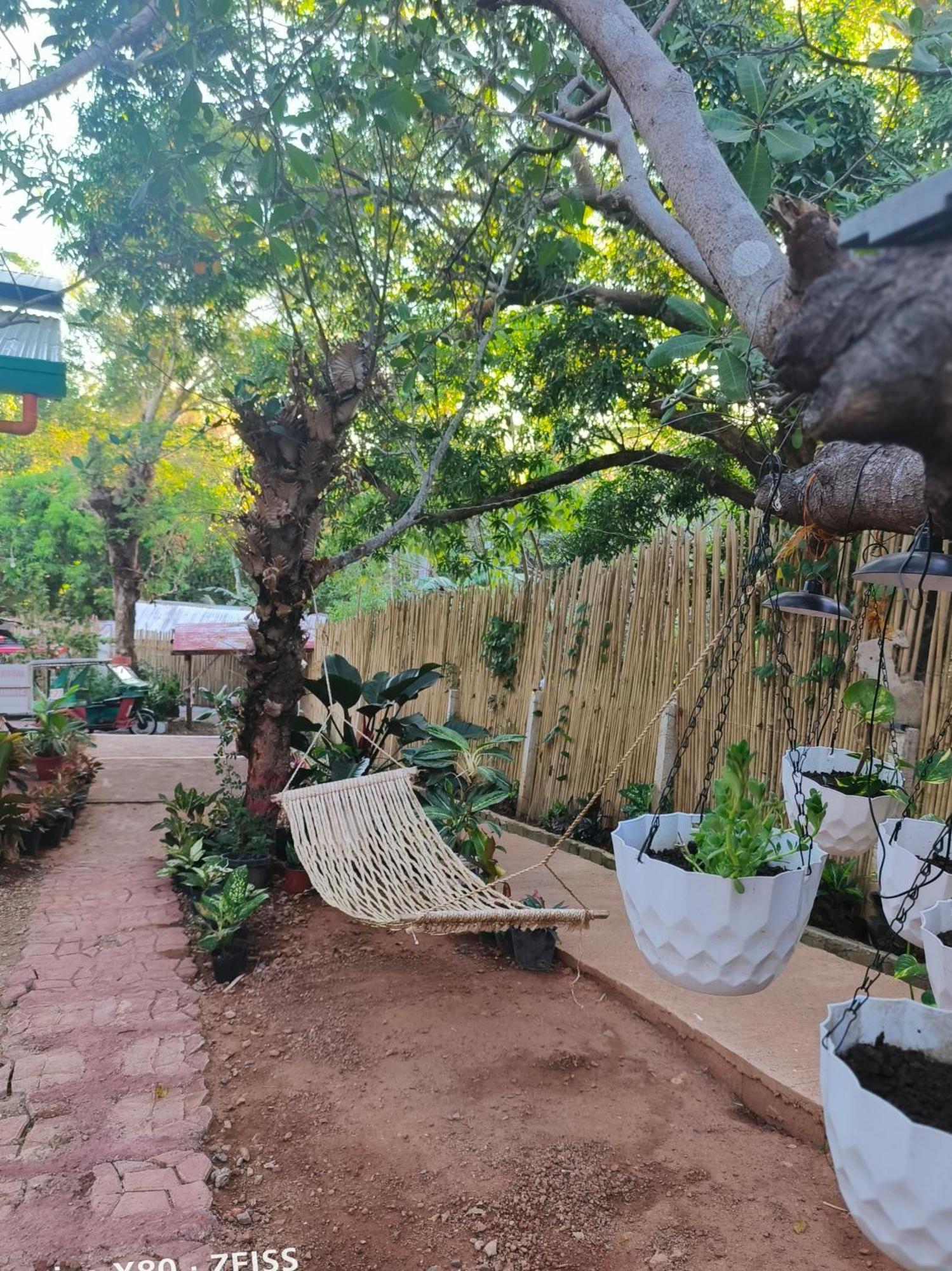 Ani Marie Guest House Coron Exterior foto